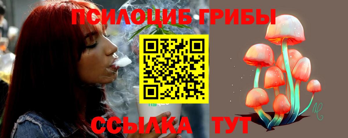 Галлюциногенные грибы Psilocybe Елабуга